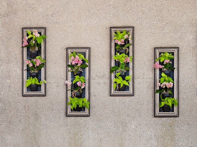 flowers on a wall